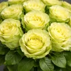 Букет из зеленых роз 2